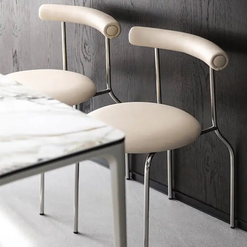 Trendy European Dining Chairs