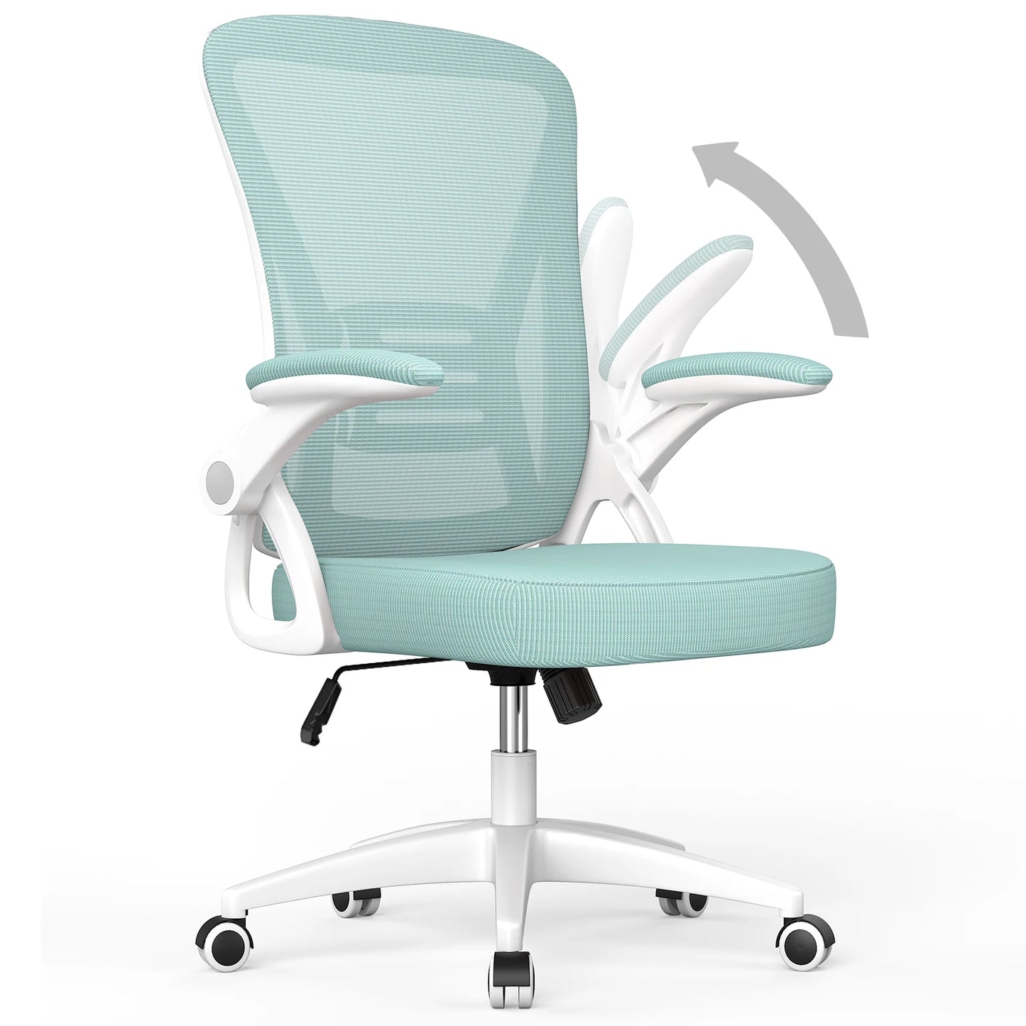 Ergonomic Office Chair with Lumbar Support