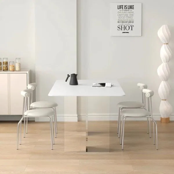 Trendy European Dining Chairs