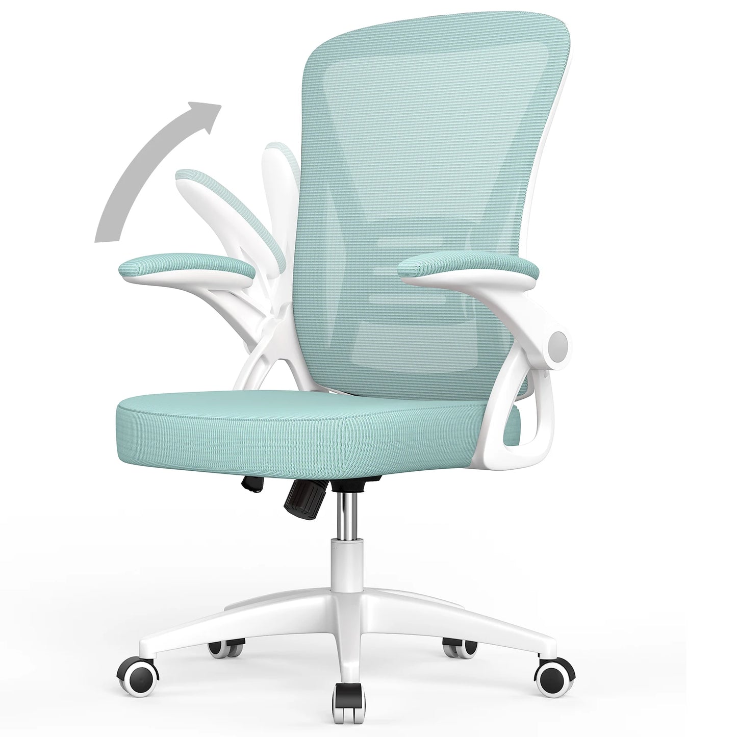 Ergonomic Office Chair with Lumbar Support