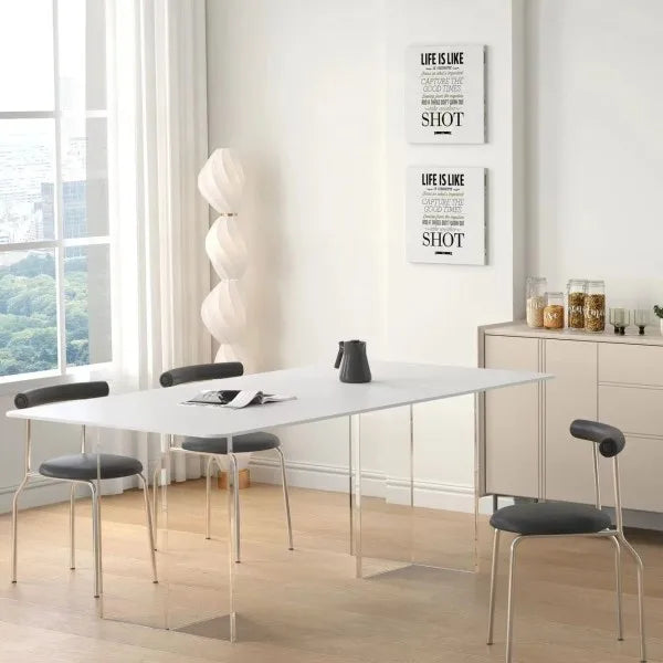Trendy European Dining Chairs