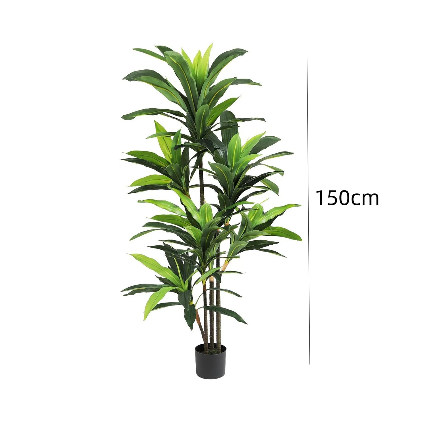 Artificial Dracaena Plant Indoor, 120cm/150cm Tall