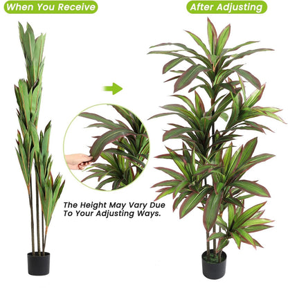 Artificial Dracaena Plant Indoor, 120cm/150cm Tall