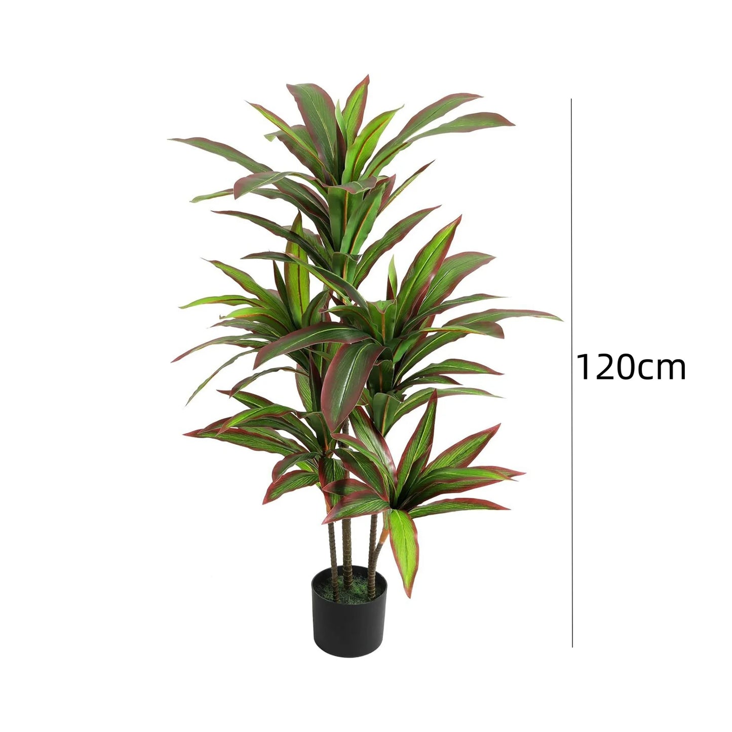 Artificial Dracaena Plant Indoor, 120cm/150cm Tall