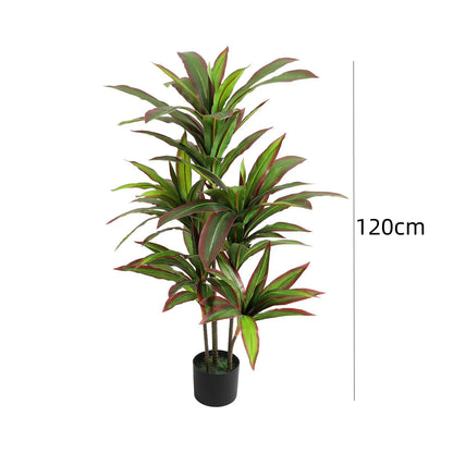 Artificial Dracaena Plant Indoor, 120cm/150cm Tall