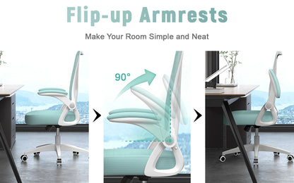Ergonomic Office Chair with Lumbar Support