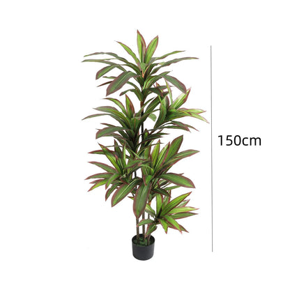 Artificial Dracaena Plant Indoor, 120cm/150cm Tall