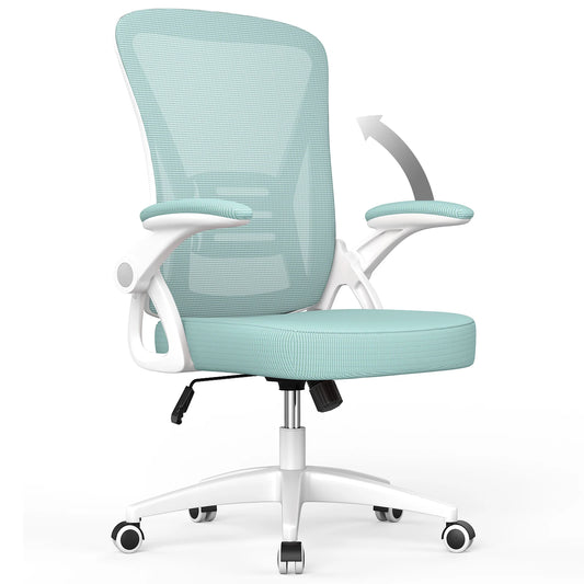 Ergonomic Office Chair with Lumbar Support