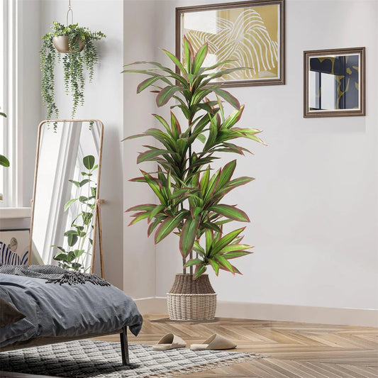 Artificial Dracaena Plant Indoor, 120cm/150cm Tall