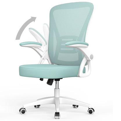 Ergonomic Office Chair with Lumbar Support